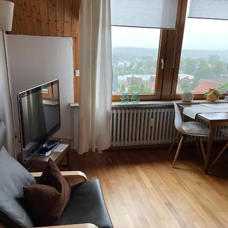 Alsmeier Apartment